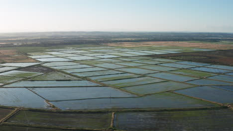 Überschwemmte-Reisfelder,-Luftaufnahme,-Frankreich,-Camargue,-Sonniger-Tag